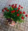  3.      ,  ,   -  , . florist.com.ua