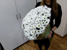  2.       , . florist.com.ua